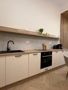Kuchyň nebo kuchyňský kout v ubytování Apartament Frombork Łempicka