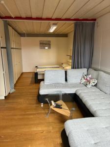 ein Wohnzimmer mit 2 Sofas und einem Bett in der Unterkunft Ferienwohnung Monteurswohnung für 1 bis 8 Personen in Diebach