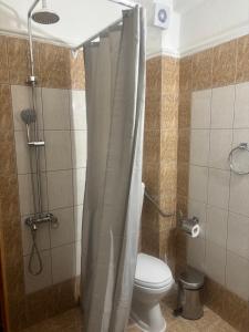 a bathroom with a toilet and a shower at Indigo sea view rooms in Olympic Beach