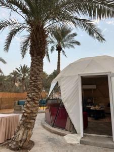 Fotografie z fotogalerie ubytování شاليه البلورة باطلالة جبلية ومسبح خاص v destinaci Quai