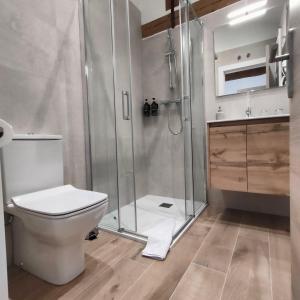 a bathroom with a toilet and a shower at Hostalito del Cuéntame Auto check-in in Burgos +22 photos