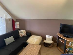a living room with a black couch and a tv at A l'orée du Bois in Landelies