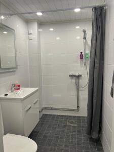 Koupelna v ubytování Antinkatu kaksio, as2