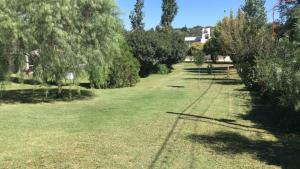 Κήπος έξω από το Sampa Pacha - Cabaña 3