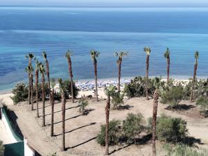 a group of palm trees on the beach at Costa Makauda Residence in Sciacca