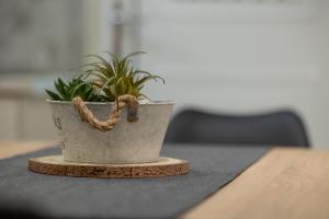Fotografie z fotogalerie ubytování Nelly's Modern House v destinaci Nafpaktos