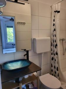 Koupelna v ubytování Villa Csipak