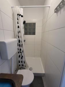 Koupelna v ubytování Villa Csipak