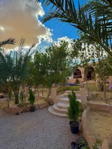 a garden with stairs and trees and a house at Shasha Siwa Retreat & Thermal Spring in Siwa