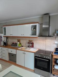 Kuchyň nebo kuchyňský kout v ubytování Ολόκληρο διαμέρισμα fully equipped apt dora comfortable holidays on the beach 50m