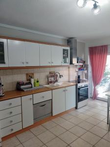 Kuchyň nebo kuchyňský kout v ubytování Ολόκληρο διαμέρισμα fully equipped apt dora comfortable holidays on the beach 50m