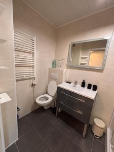 Koupelna v ubytování Le Central parking et 15 minutes à pied du lac + 4 fotografie