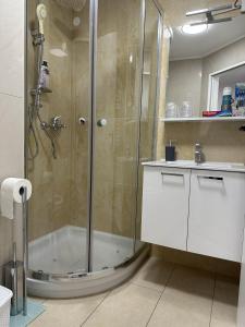 a bathroom with a shower and a sink at Apartments Dani in Postojna +23 photos
