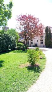 a yard with a house and a tree with pink flowers at Les Clés du Parc in Combrand