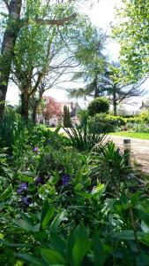 a garden with flowers and plants in a park at Les Clés du Parc in Combrand +24 photos