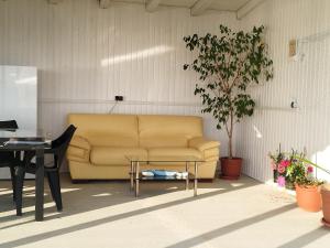 a couch in a room with a table and a plant at Cabana Doris Coronini in Moldova Veche