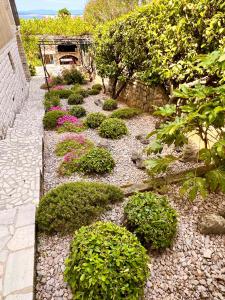 Zahrada ubytování Apartments Gorana