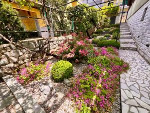 Zahrada ubytování Apartments Gorana