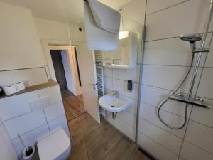 a white bathroom with a toilet and a sink at Odea Ferienhaus in Soltau