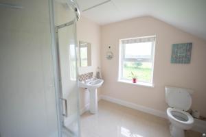 a white bathroom with a toilet and a sink at The Swilly Suite in Castlequarter +33 photos