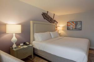 Postel nebo postele na pokoji v ubytování Hotel Indigo Austin Downtown - University by IHG