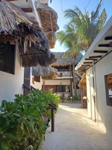 een binnenplaats van een resort met een palmboom bij Casa Sofia Holbox in Holbox Island