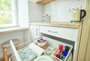 Kuchyňa alebo kuchynka v ubytovaní Apartmány VIENNA
