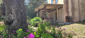 un porche de una casa con un árbol y flores en tour casella, en Bonifacio