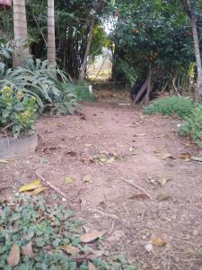 Vrt pred nastanitvijo Quarto curral mantiqueira