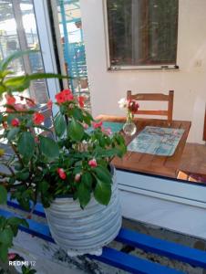 Fotografie z fotogalerie ubytování Relaxation Place v destinaci Himare