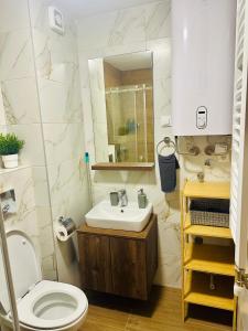 a bathroom with a white toilet and a sink at Studio Apartman Nomad Divčibare in Divčibare