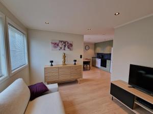 a living room with a couch and a television at Comfortable Apartment Sleeps 4 Near Kristiansand City Center in Kristiansand
