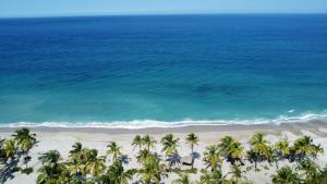 an aerial view of a beach with palm trees and the ocean at Playas De Casa Grande in Santa Marta