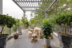 Κήπος έξω από το Ninh Binh Field Villa