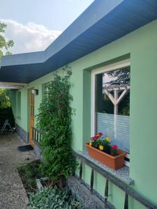 a green house with a window and a blue roof at Waldblick in Cavertitz