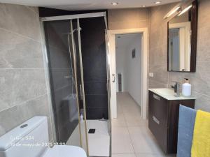a bathroom with a shower and a toilet and a sink at Lar BCN in Pobra do Caramiñal +12 photos