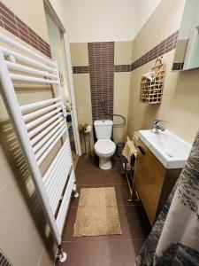 a bathroom with a toilet and a sink at Modern Loft Basel Airport ArtBasel in Saint-Louis +32 photos