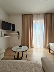 TV/Unterhaltungsangebot in der Unterkunft Apartments Miljas