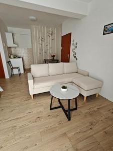 Küche/Küchenzeile in der Unterkunft Apartments Miljas
