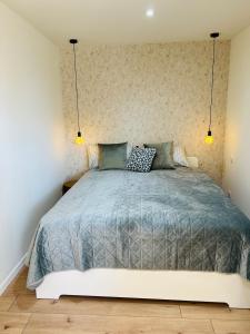 a bedroom with a bed with a blue comforter at Sunny Loft Basel Airport Art Basel in Saint-Louis