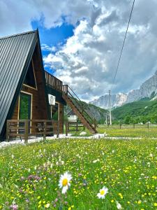a wooden cabin in a field of flowers at Komarnica Forest Owl in Šavnik