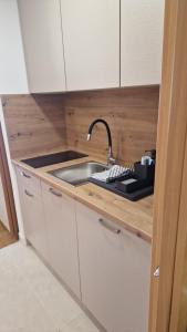 Kuchyň nebo kuchyňský kout v ubytování Apartmaji Z Fizine