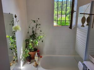 a white bathroom with a tub and a plant at Maison au cœur du Verdon 2 chambres et terrasse in Allemagne-en-Provence +27 photos