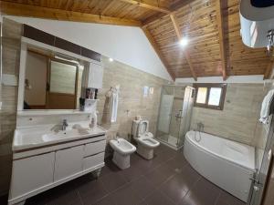 a bathroom with a sink and a toilet and a bath tub at Bedena House in Kolonjë +48 photos