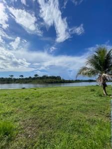 a palm tree in a field next to a body of water at Hotel Torre Forte in Careiro +7 photos