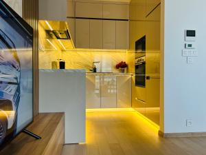 Η κουζίνα ή μικρή κουζίνα στο CityLightsEuroveaTower