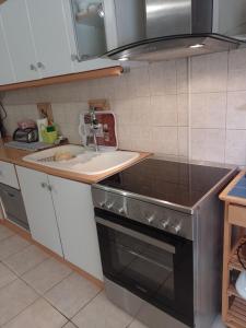 Kuchyň nebo kuchyňský kout v ubytování Ολόκληρο διαμέρισμα fully equipped apt dora comfortable holidays on the beach 50m