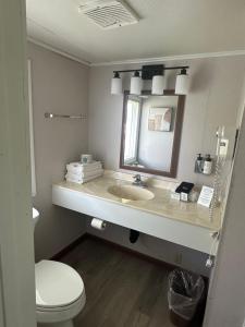 a bathroom with a sink and a toilet and a mirror at DownTown Inn in Sister Bay +43 photos