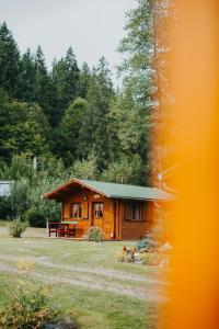 a wooden cabin with a green roof in a field at Vidra Park in Văleni +21 photos