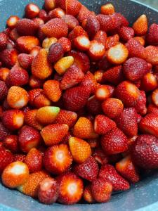 a pile of strawberries and oranges in a blue bowl at SEA & LAKE VIEW VILLA in (( Kalive Gjoka ))